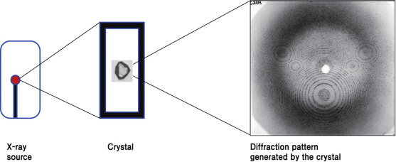 diffraction pattern generated by a crystal while exposing it in x-rays