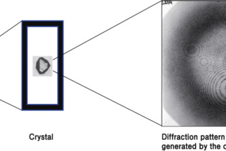 diffraction pattern generated by a crystal while exposing it in x-rays