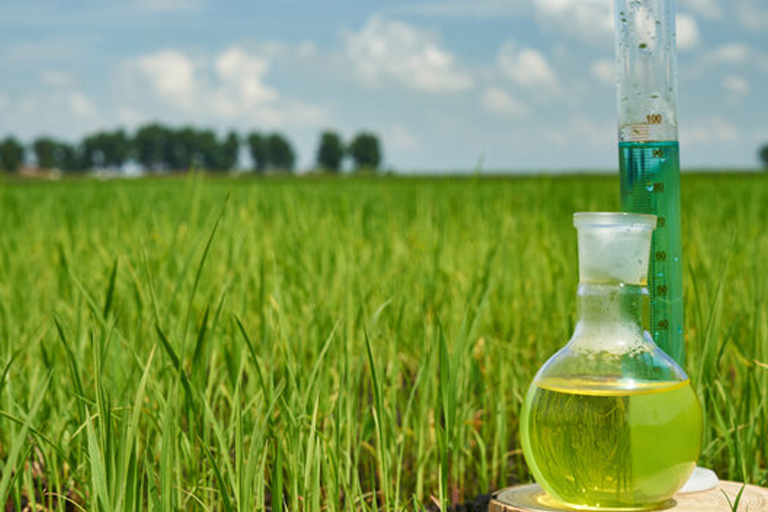 Agricultural chemistry laboratory help: A glass bottle of oil and a measuring device in a rice field, assisting with agricultural research