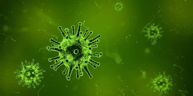 A digital illustration of multiple green virus particles against a blurred green background. The central virus particle is larger and more detailed, showing spiky protrusions typical of a viral structure. Smaller, similar virus particles are scattered around it, offering a glimpse into the microscopic world of cellular biology