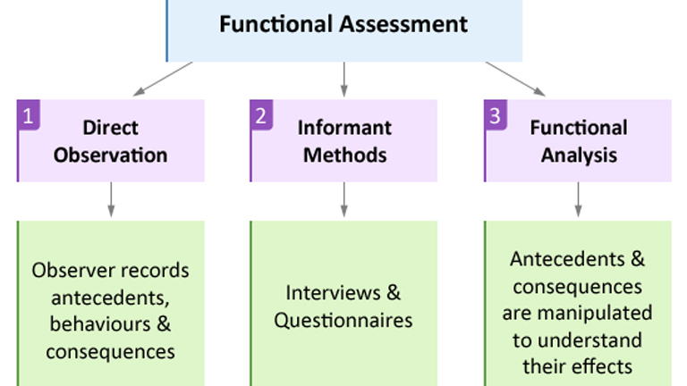 Illustration of the functional assessment process, depicting the functional analysis concept