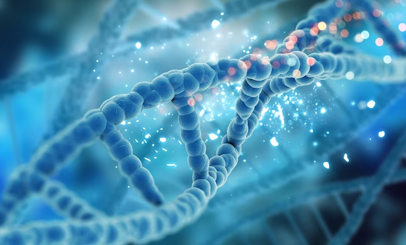 A captivating image showcasing the iconic double helix structure of DNA, symbolizing the cornerstone of General Biology Assignment Help.