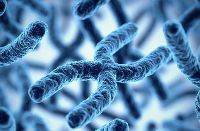 Close-up image of several blue chromosomes, typically X-shaped structures, viewed under a microscope against a light blue background. The textured, three-dimensional appearance highlights their intricate details, underscoring the fascinating world of genetics and genetics assignment help