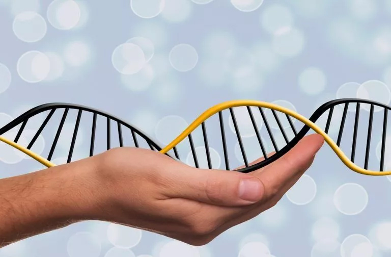 A hand holding a helical DNA model with black and yellow strands, symbolizing the intricate world of genetics and genetics assignment help