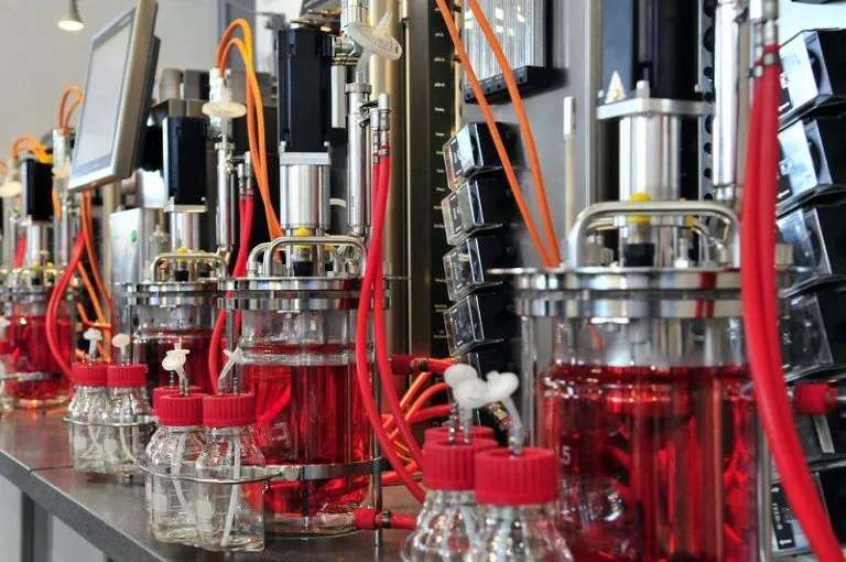 A row of red liquid-filled bottles on a counter, showcasing an Industrial Biotechnology Homework Help Concept